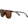 Солнцезащитные очки Zippo OB204-2